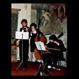Milano, Sacrestia del Bramante, 1992