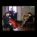Alessandria, Sala Consiliare, 2006